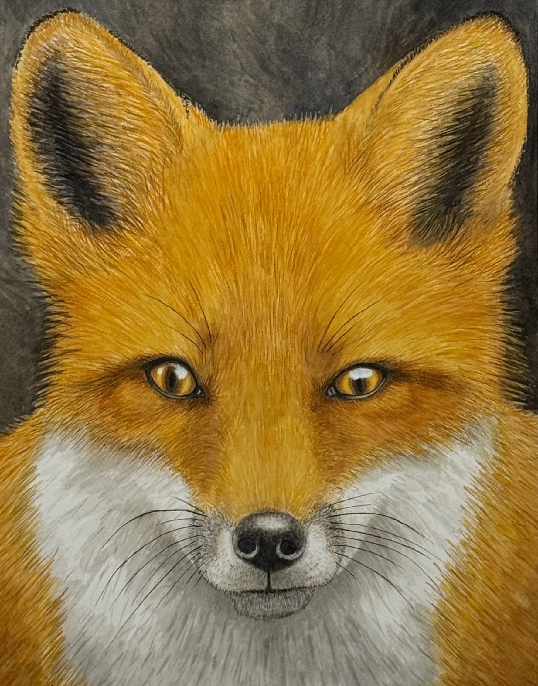 fox 6:15:26 copy