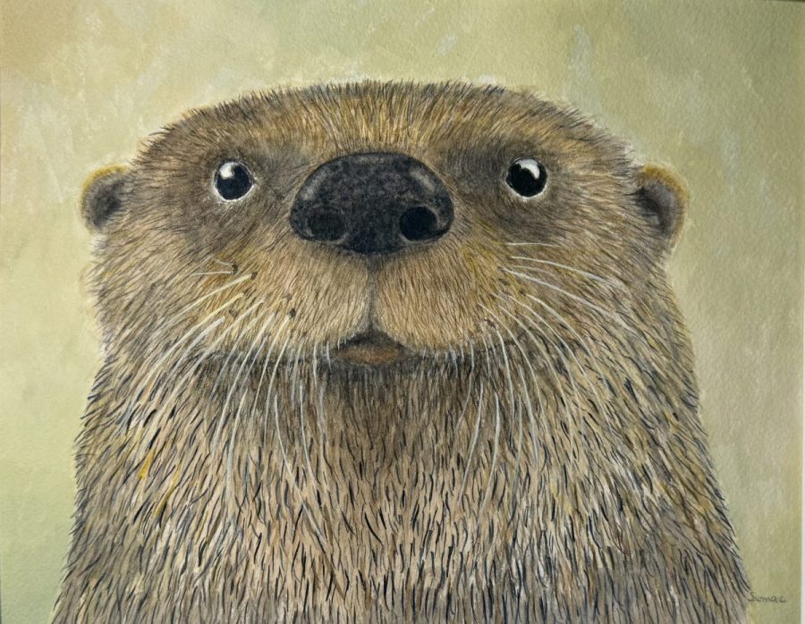 Otter 6:4:26