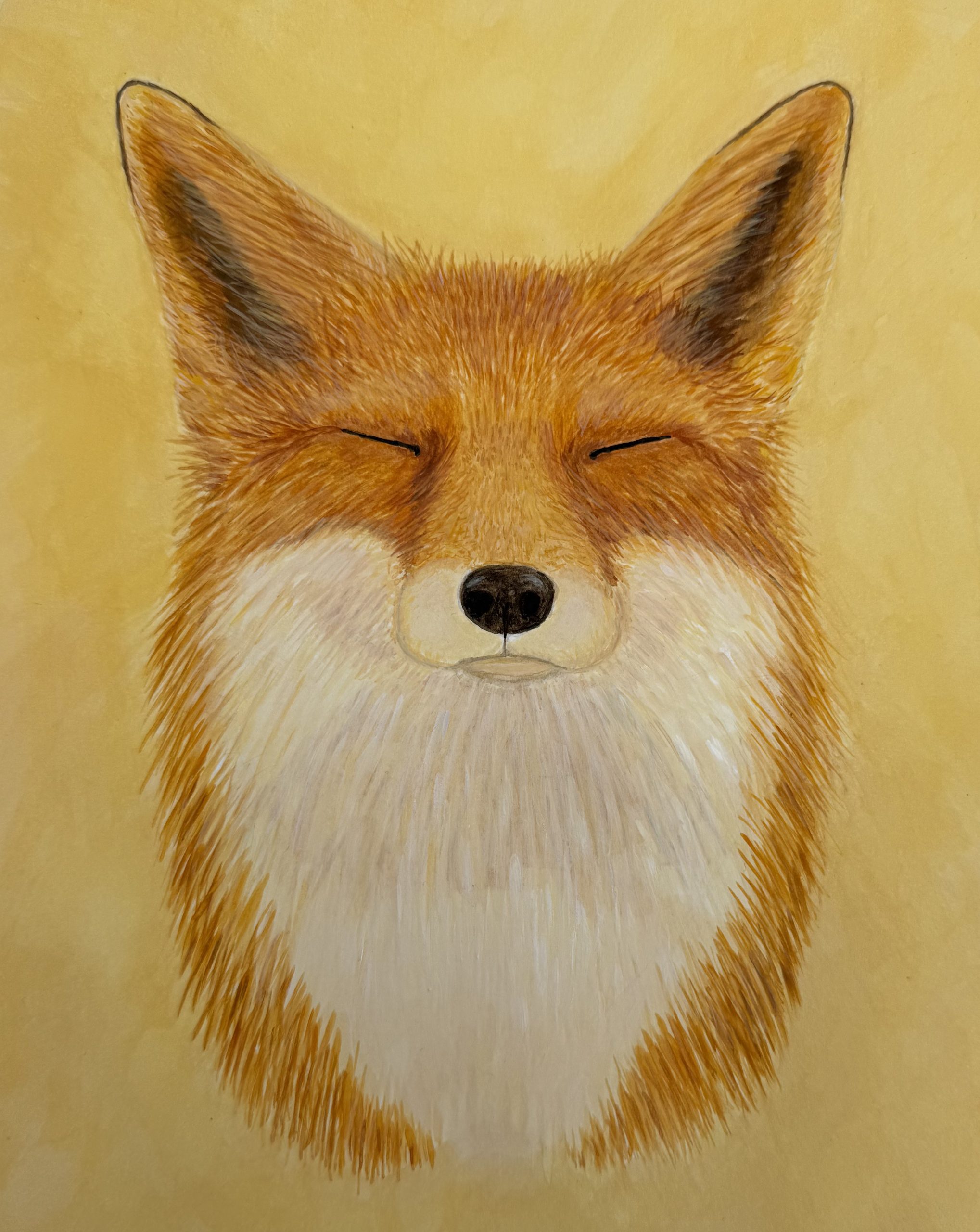 wc squinting fox 72 dpi