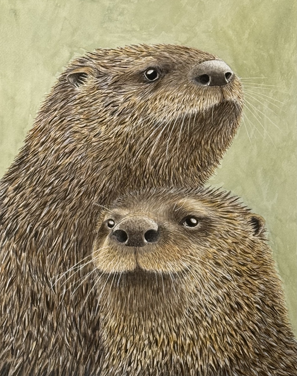 *walter and marigold otters 1200